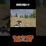 RNダメ低い？【荒野行動】