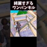 綺麗に決まったワンパンキル#フォートナイト #fortnite #クリップ #キル集