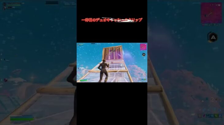 大会のクリップ！#ネコハト#かっこいいキル集 #fortniteclips #デュオキャッシュ