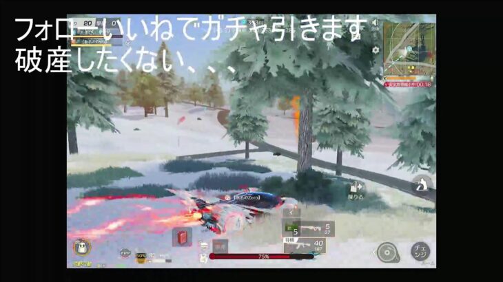荒野行動 knives out　ガチャ セラフコンプ