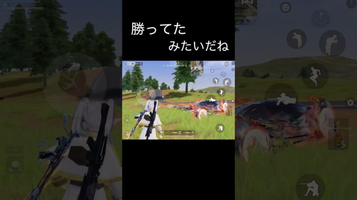 勝ってたみたいだね #荒野行動 #荒野キル集 #shorts@し