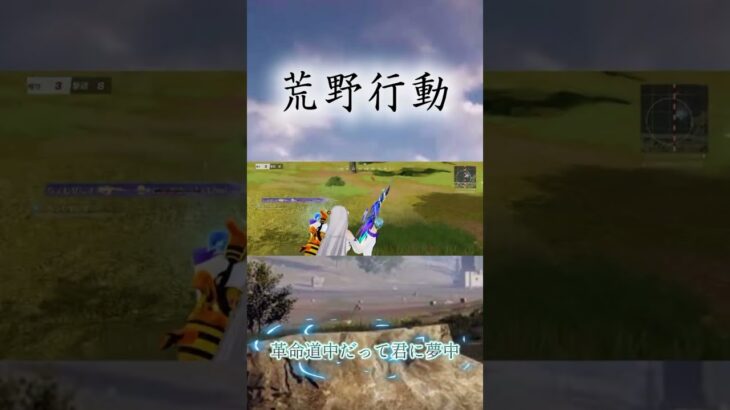 初心者の初荒野キル集(革命道中歌詞あり)※画面小さくてごめんなさい🙇‍♀️#荒野行動 #革命道中#ばずりたい