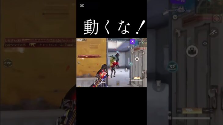 【荒野行動】たきなの前で動くとこうなる　#荒野行動