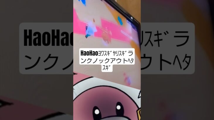 初のキル集‼️👏👏サンザンダー理不尽編
