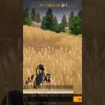 【荒野行動】ほふく前進する戦士にBGMを付けてみた。ワイルドシリーズ。