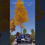 【荒野行動】臨戦態勢の精鋭達にBGMをプレゼントしてみた。ワイルドシリーズ。