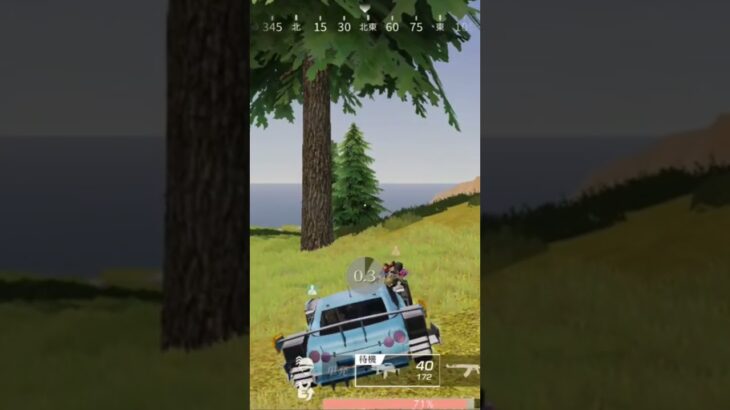 【荒野行動】治安警備しながらハコ乗りする精鋭にBGMを付けてみた。ワイルドシリーズ。