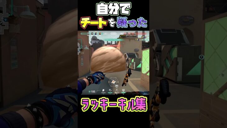 犯罪的キル集【VALORANT】#valorant #ヴァロラント #ネタ #valorantclips #ラッキー #奇跡 #キル集  #shorts