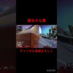 apex適当キル集