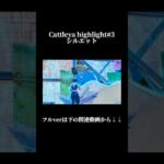 シルエットでキル集作ってみた！#フォートナイト #fortnite #shorts