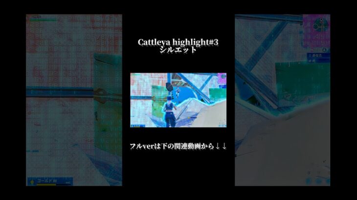 シルエットでキル集作ってみた!#フォートナイト #fortnite #shorts