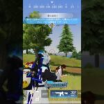 【荒野行動】観戦しながら精鋭達が熱くなれる応援歌を付けてみた。ワイルドシリーズ。