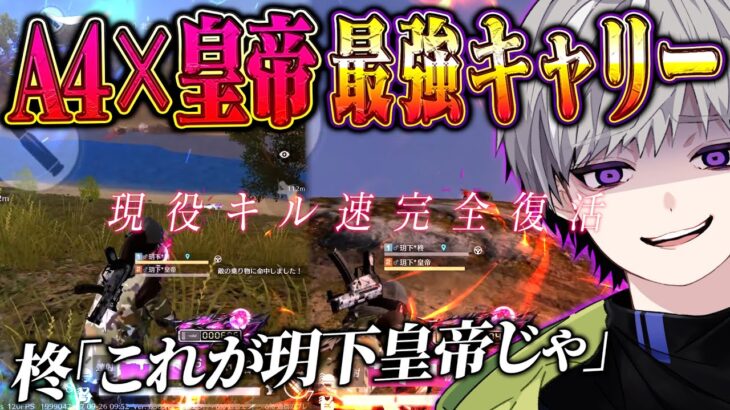 【アズラ最高キル速】ゲリラ最高集中で神キャリーしてきた【#荒野行動 】