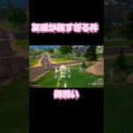 本当は俺つおいし#フォートナイト #キル集