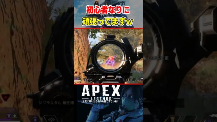 初心者によるまったりキル集w　#Shorts #apex #apexlegends