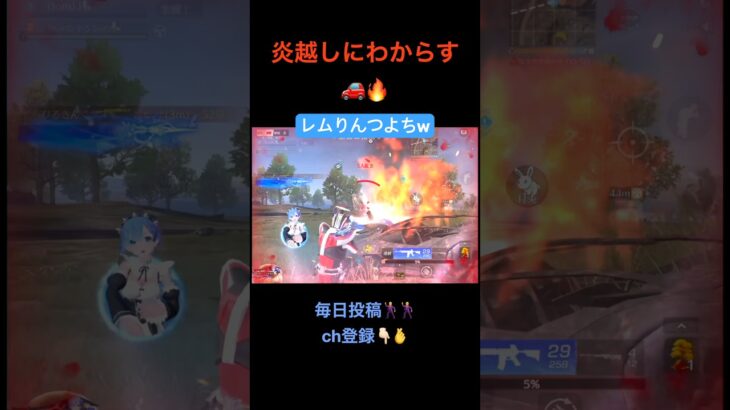 1vs2でもわからせる(tom)J【荒野行動】#荒野行動 #クリップ #キル集