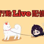 【荒野行動】初見さん大歓迎！コメント読みながらまったり激戦ソロクイン🔥#475