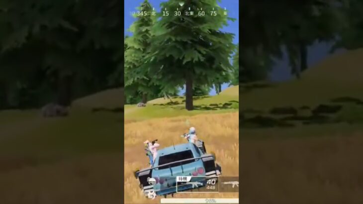 【荒野行動】精鋭達と治安警備しながらBGMを付けてみた。ワイルドシリーズ。