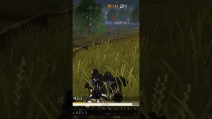 【荒野行動】最終局面で切ないBGMを付けてみた。ワイルドシリーズ。