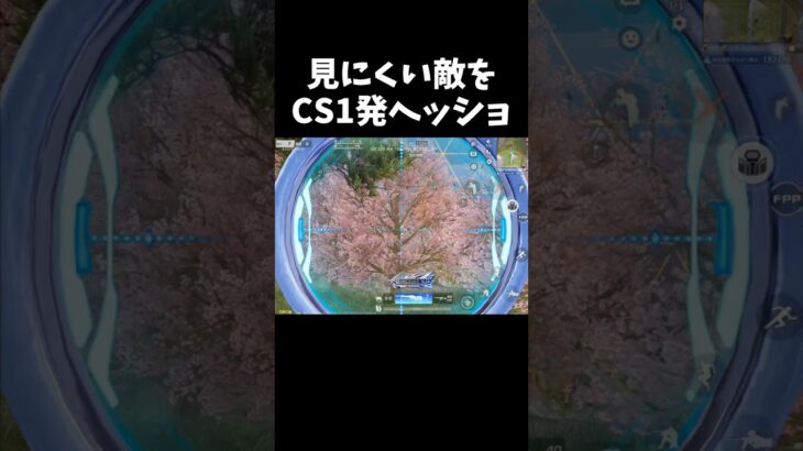 CSヘッショが戦闘GOサインww【#荒野行動】#shorts #Knives Out #荒野バババン8周年   #荒野イケメン