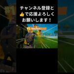 スナイパーキル集【フォートナイト/FORTNITE】#FORTNITE #フォートナイト #フォトナ #キル集