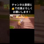 スナイパーキル集【フォートナイト/FORTNITE】#FORTNITE #フォートナイト #フォトナ #キル集