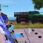 俺のRNだけキルカウンターまで上げたのに試合中見えない人の中距離ペチペチ集 #荒野行動 #荒野行動キル集