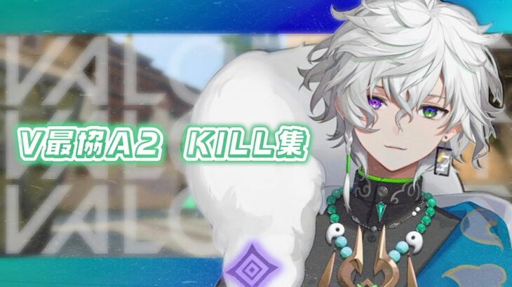 #V最協A2 キル集［VALORANT］叢雲カゲツ