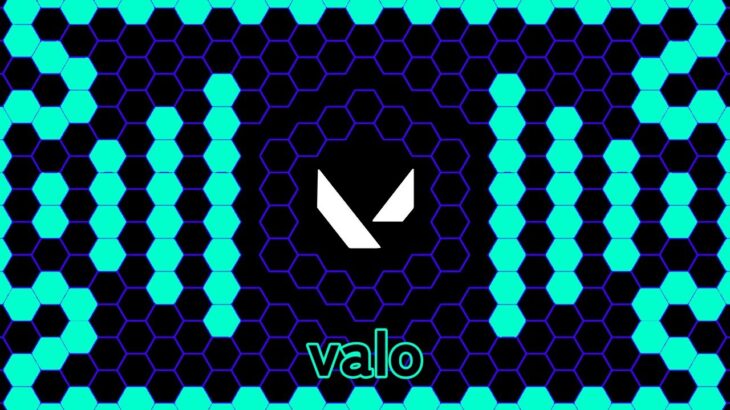 キル集２　VALORANT２１
