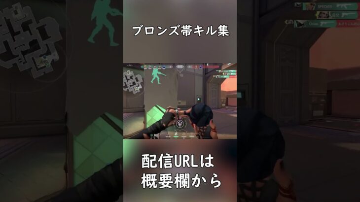 【VALORANT】ブロンズ帯キル集 #valorant #twitch #クリップ集
