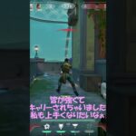 【VALORANT】　コンペ修行キル集　ブロンズ目指して　切り抜き24　#valorant #valorantclips #切り抜き