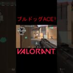 【VALORANT】ブルドッグACE #shorts #valorant #valorantclips #valorantクリップ #valorantキル集 #ヴァロラント #valorantショート