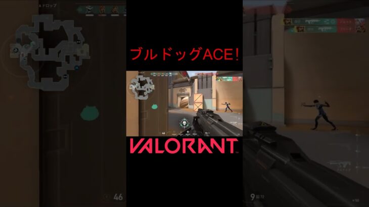 【VALORANT】ブルドッグACE #shorts #valorant #valorantclips #valorantクリップ #valorantキル集 #ヴァロラント #valorantショート