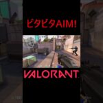【VALORANT】ビタビタAIM! #shorts #valorant #valorantclips #valorantクリップ #valorantキル集 #ヴァロラント #valorantショート