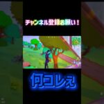 何コレぇ #フォートナイト #さとかもちゃんねる #fortnite #かっこいいキル集