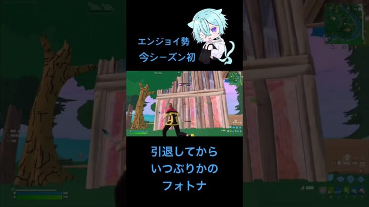 #フォートナイト #キル集 #クリップ集 #fortnite #highlight #エンジョイ勢 #フォトナ