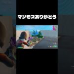 マンモスピストルありがとう…#フォートナイト #fortnite #tiktok #キル集