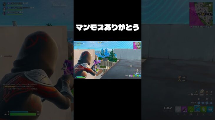 マンモスピストルありがとう…#フォートナイト #fortnite #tiktok #キル集