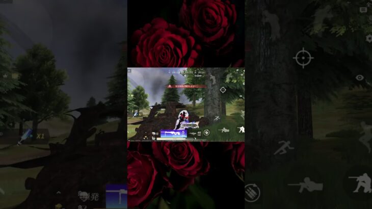 【荒野行動】対複数のsR勝負で気持ちぃ勝ち方#なお茶 #荒野行動 #荒野 #荒野行動キル集 #shorts