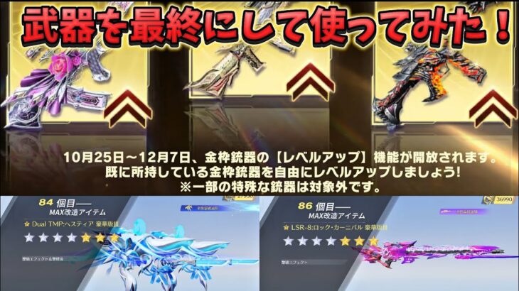 【荒野行動】倉庫に眠ってたコラボ武器を最終にしてみた！#荒野行動