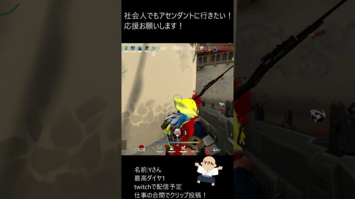 社畜のキル集　#valorant  #valorantclips #キル集 #shorts