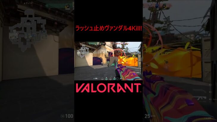 【VALORANT】ラッシュ止めヴァンダル4Kill! #shorts #valorant #valorantclips #valorantクリップ #valorantキル集 #ヴァロラント